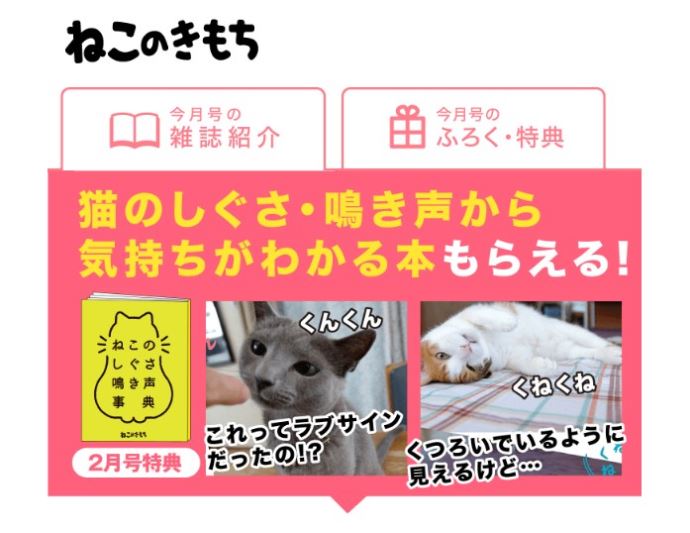 ねこのきもち